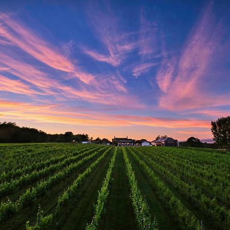 Llanerch Vineyard Hotel ヘンソル エクステリア 写真
