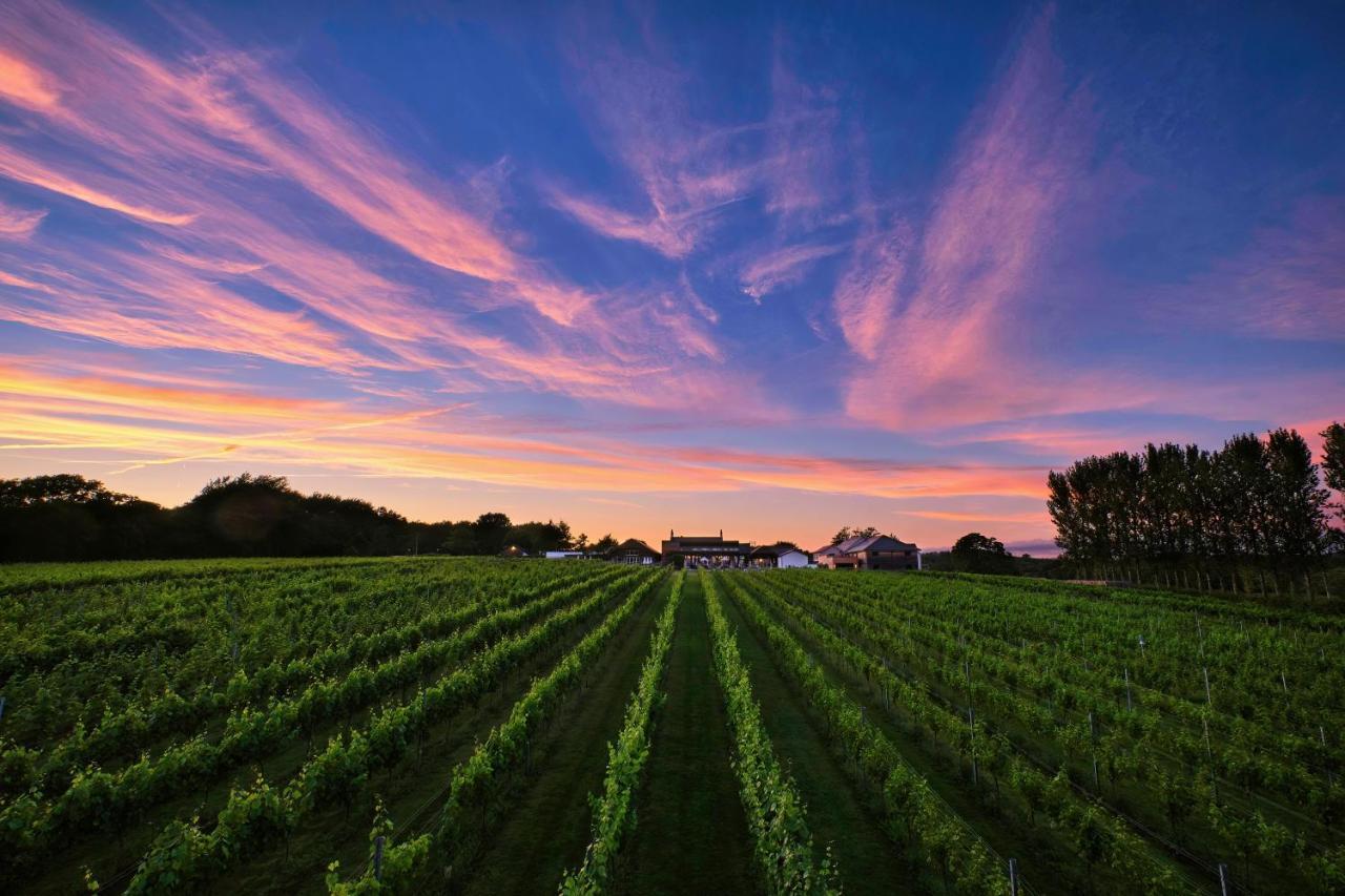 Llanerch Vineyard Hotel ヘンソル エクステリア 写真
