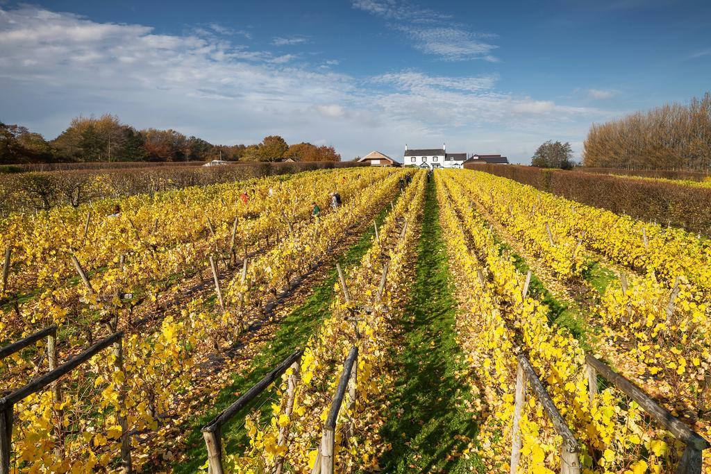 Llanerch Vineyard Hotel ヘンソル エクステリア 写真