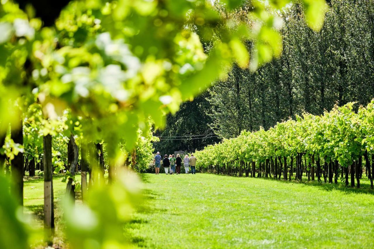 Llanerch Vineyard Hotel ヘンソル エクステリア 写真