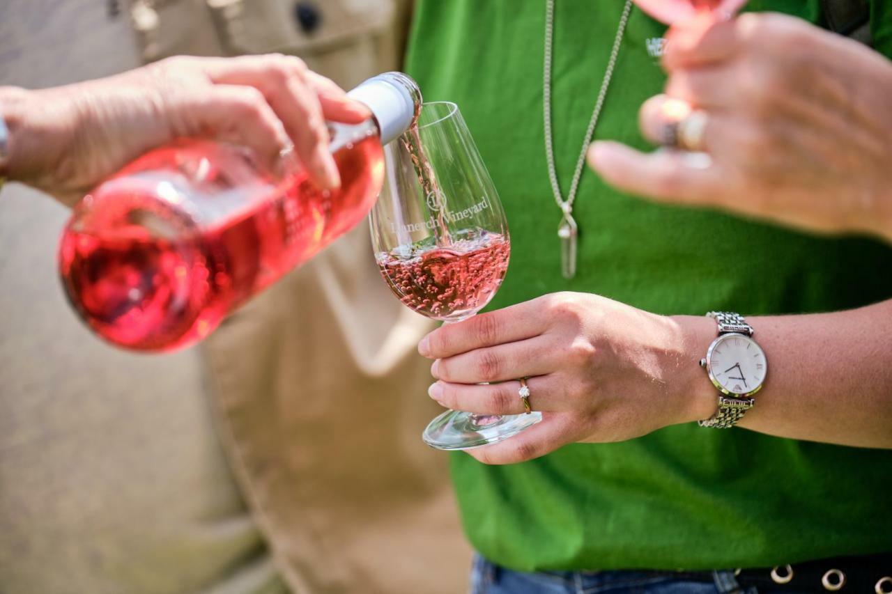 Llanerch Vineyard Hotel ヘンソル エクステリア 写真