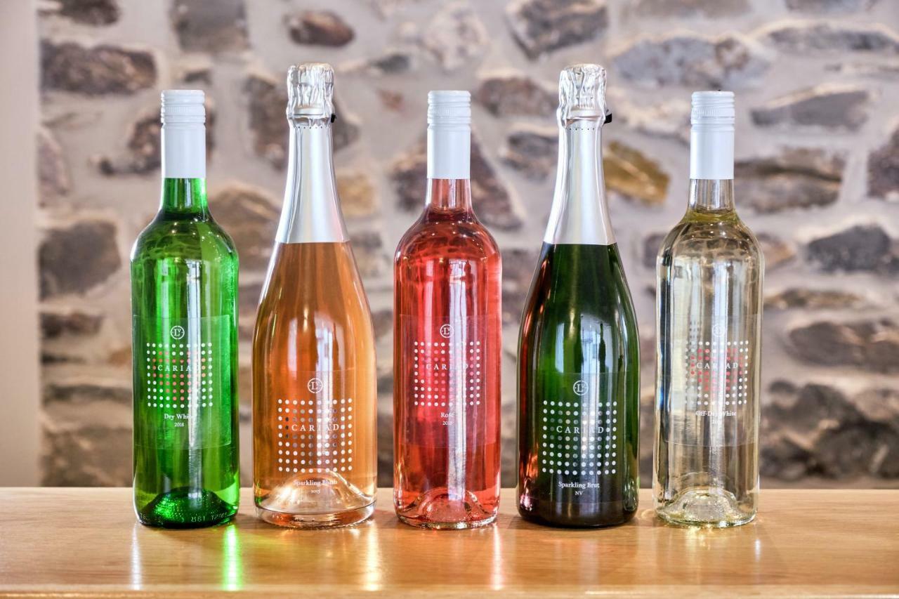 Llanerch Vineyard Hotel ヘンソル エクステリア 写真